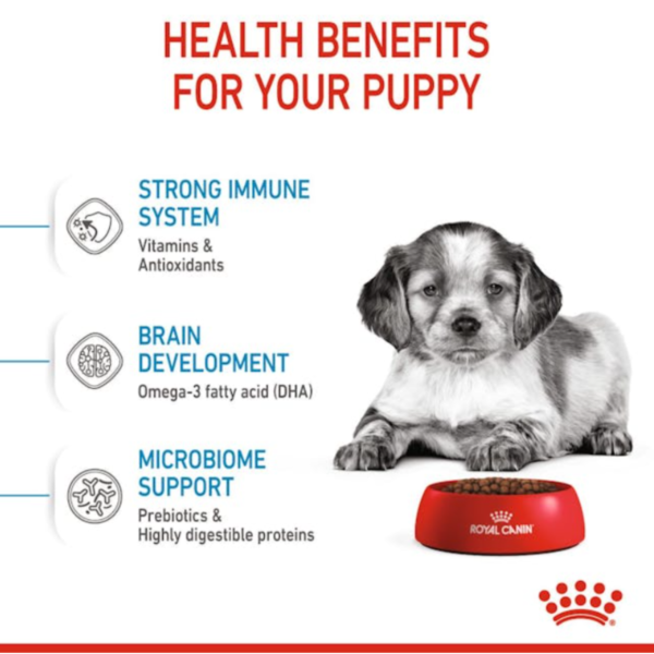 Royal Canin Puppy Medium