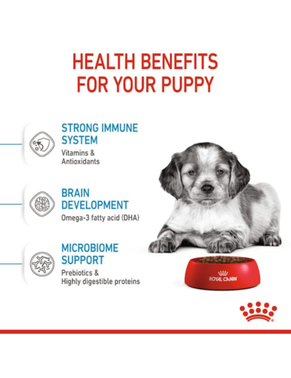 Royal Canin Puppy Medium