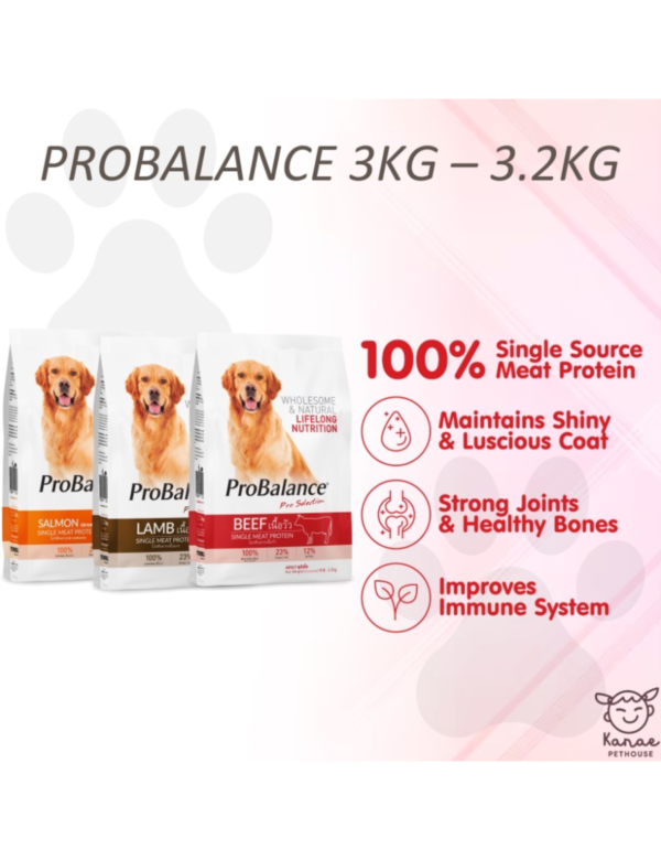Probalance Dog Food