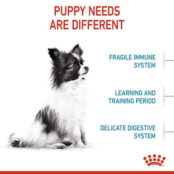 Royal Canin Puppy X Small
