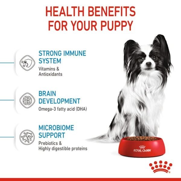 Royal Canin Puppy X Small