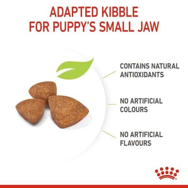 Royal Canin Puppy X Small